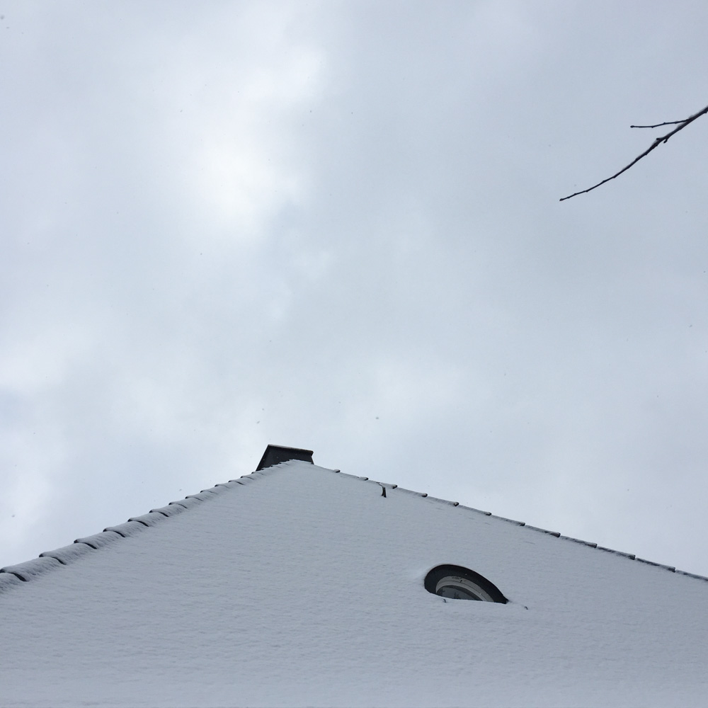 今日は、水っぽい重たい雪が降る。