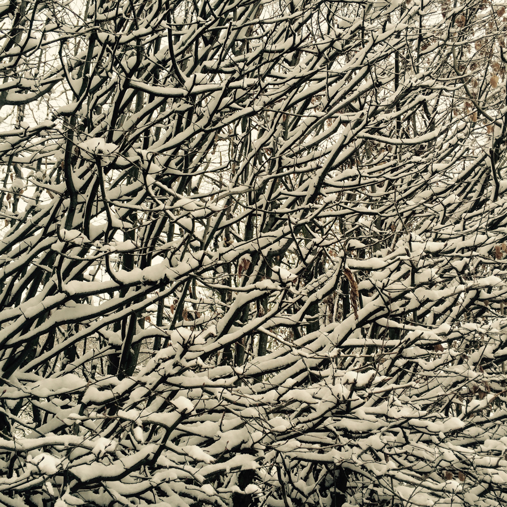 春の雪も降った。