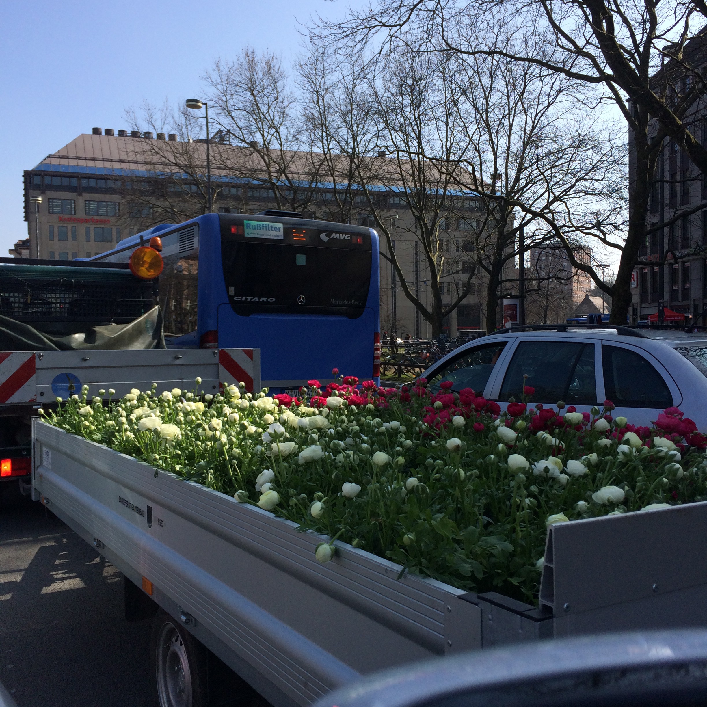 春の花を運ぶ車は、幸せを運ぶ車のように見える。
